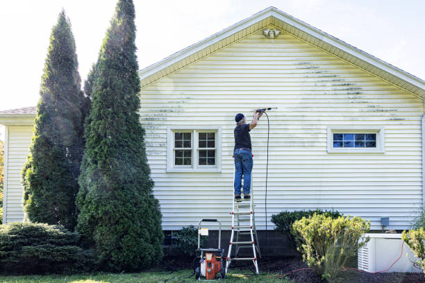 Best Sidewalk and Walkway Pressure Cleaning in Lanse, MI